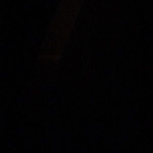 Meet your Posher, Sasha